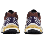 Salomon XT-6