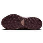 Nike Pegasus Trail 2 GORE-TEX