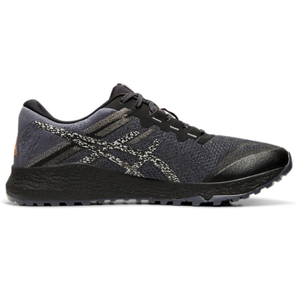 Asics Alpine XT 2