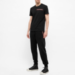 Alexander McQueen Logo