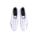 Mizuno AG（ ）