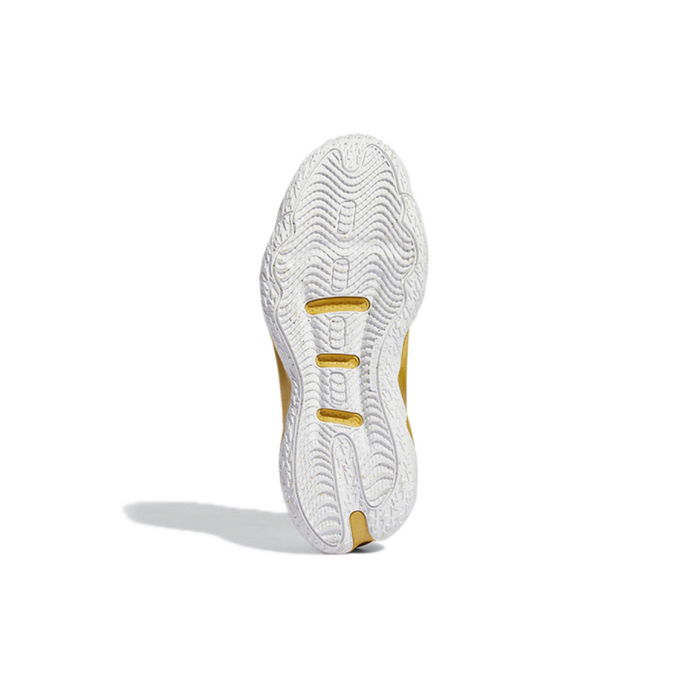 Adidas D lillard 8 "Laheem The Dream" 8 TPU