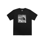 THE NORTH FACE T