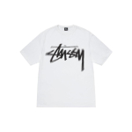 Stussy FW23 DIZZY STOCK TEE T