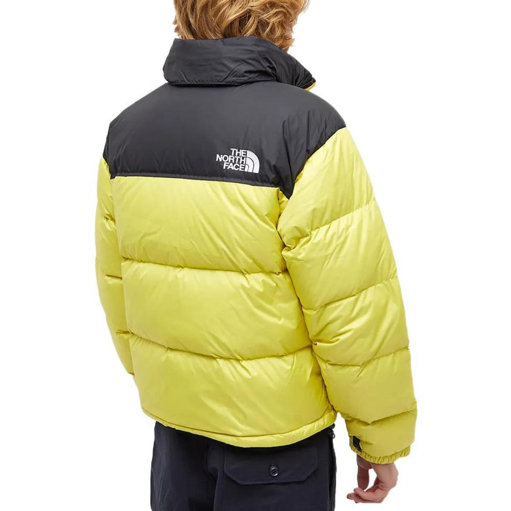 THE NORTH FACE 1996 Logo