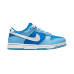 Nike Dunk retro qs "argon"