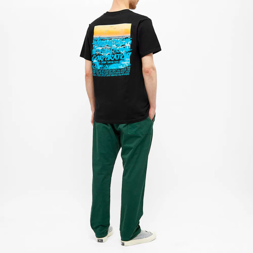 Stussy Clear Day T
