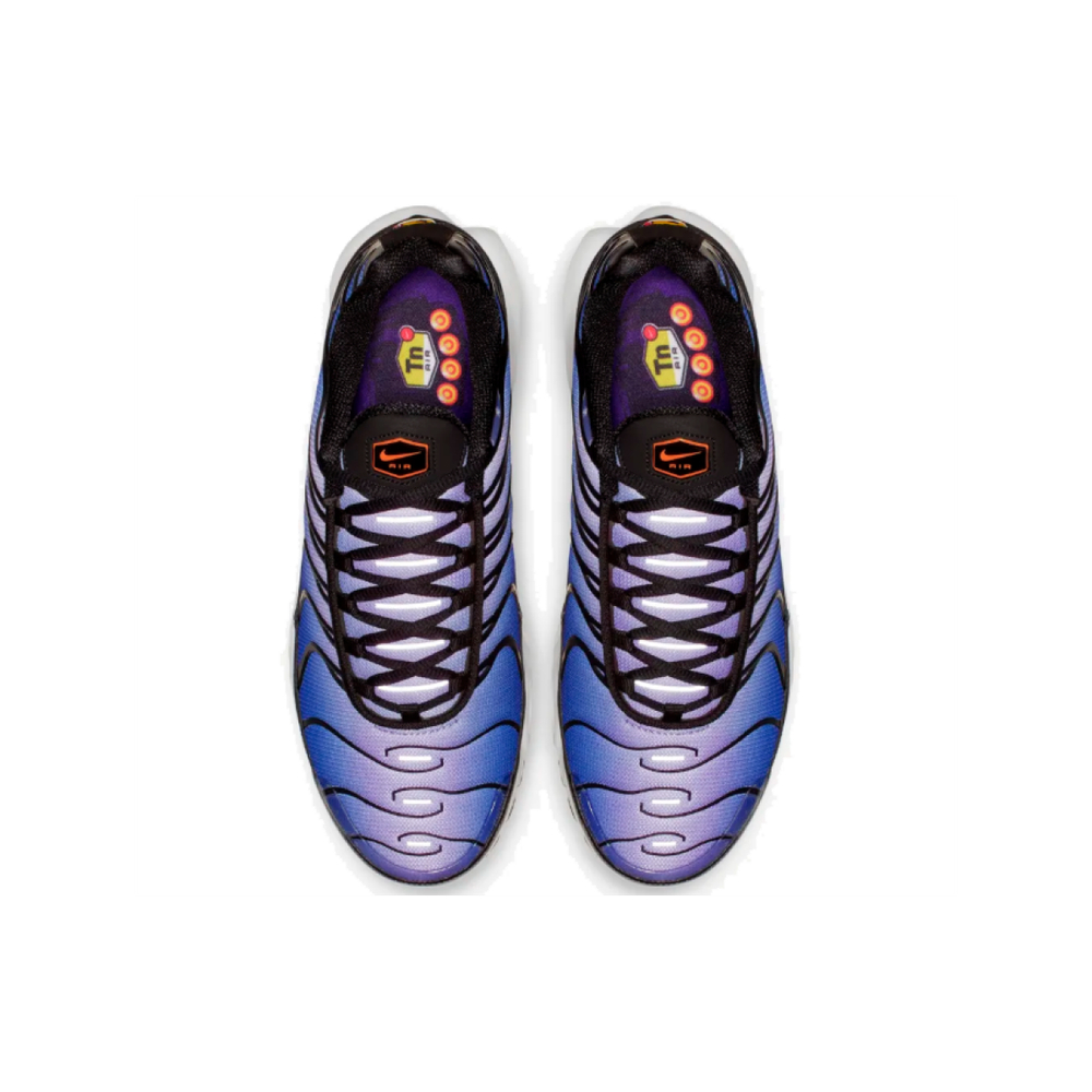 Nike Air Max Plus Midnight Purple