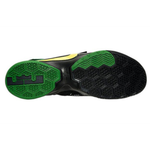 Nike zoom soldier 9 Oregon