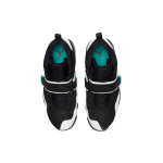 Jordan Black Cat