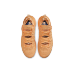 Nike Lebron 18