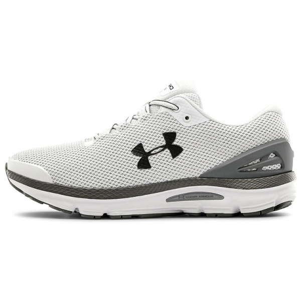 Under Armour Charged Gemini 2020