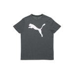 PUMA T