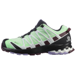 SALOMON XA Pro 3D V8 Gtx