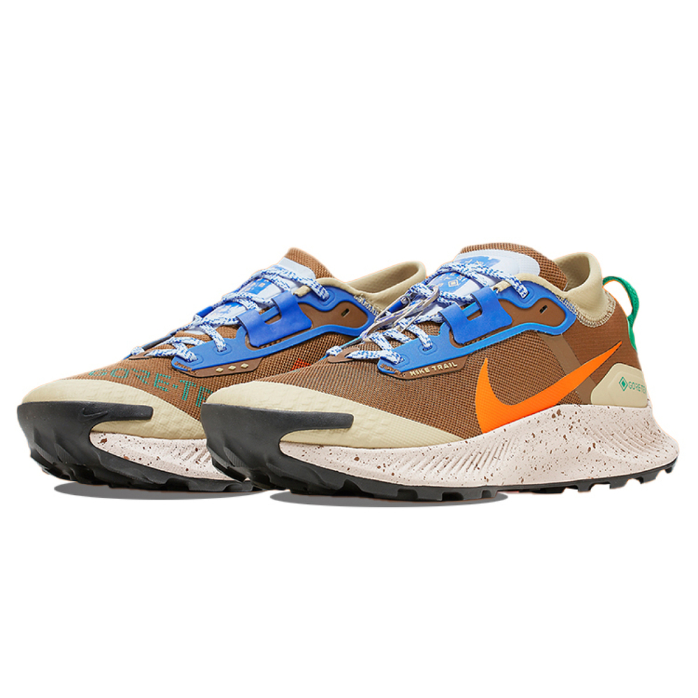 Nike Pegasus Trail 3