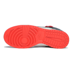 【 】 NBA x Nike Dunk Low