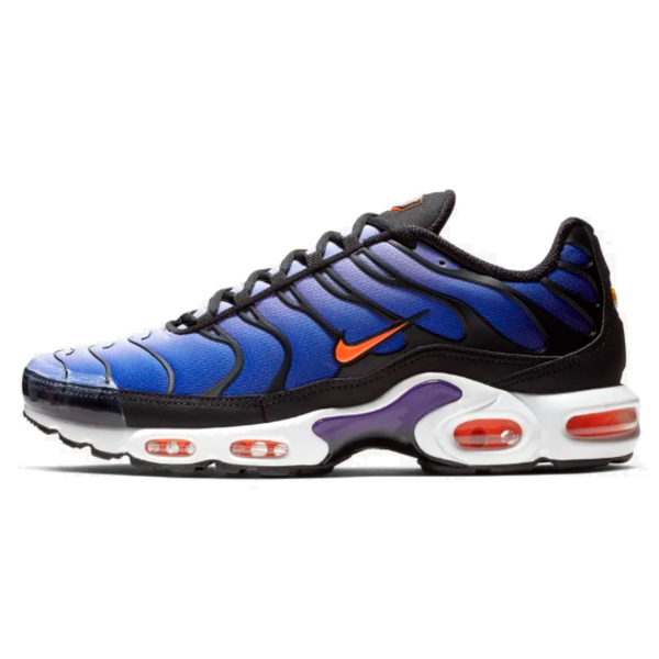 Nike Air Max Plus Midnight Purple