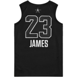 Jordan NBA LeBron James All-Star Edition Authentic Jersey AU