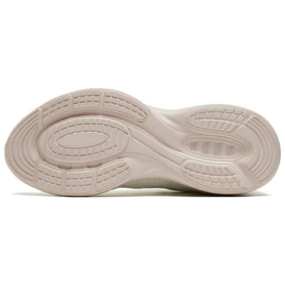 Anta