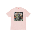 Supreme Week 8 Dragon Tee T