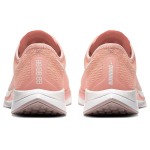 Nike Pegasus turbo 2 Logo