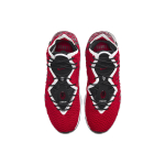 Nike Lebron 17 EP 17