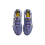 Nike Ambassador 13 LeBron Lakers 13