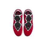 Nike Lebron 17 "Uptempo" 17