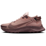 Nike Pegasus Trail 2 GORE-TEX