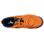 Mizuno
