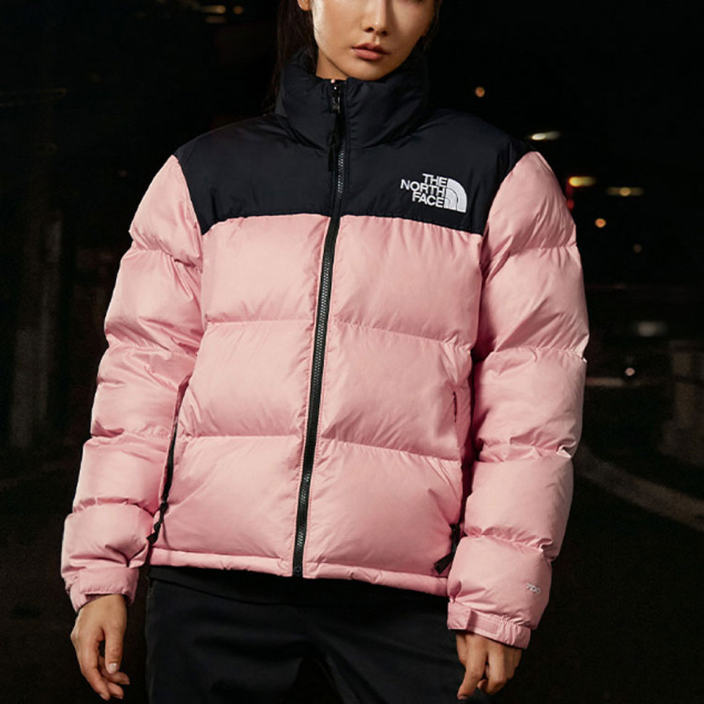 THE NORTH FACE 1996 Retro Nuptse 1996 700