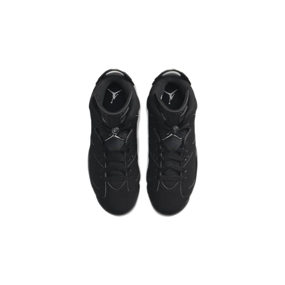 Jordan Air Jordan 6 Metallic Silver