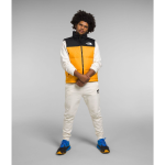 THE NORTH FACE 1996 Retro Nuptse 700