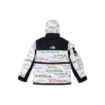 Supreme x the north face logo