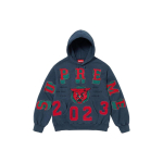 Supreme FW23 WEEK5 WASHED PANTHER HOODED SWEATSHIRT