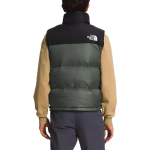 THE NORTH FACE FW22 1996 Retro Nuptse 700