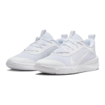 Nike Omni Multi-Court