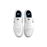 Nike SB Chron 2 CNVS