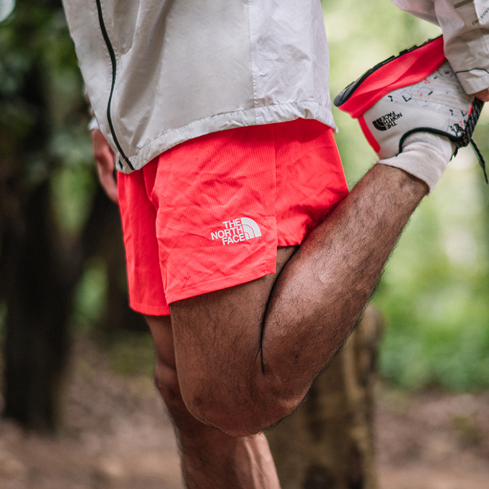 THE NORTH FACE Logo
