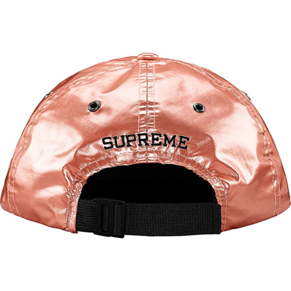 Supreme SS18 The North Face Metallic 6-Panel