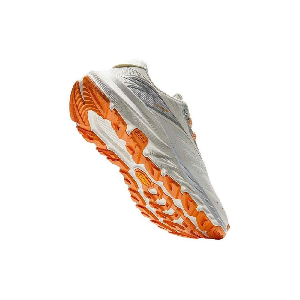 Anta