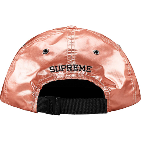 Supreme SS18 The North Face Metallic 6-Panel