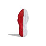 Adidas D lillard 6