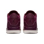 Jordan Air Jordan 3 Retro SE "Bordeaux"