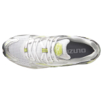 Mizuno Wave Rider 10