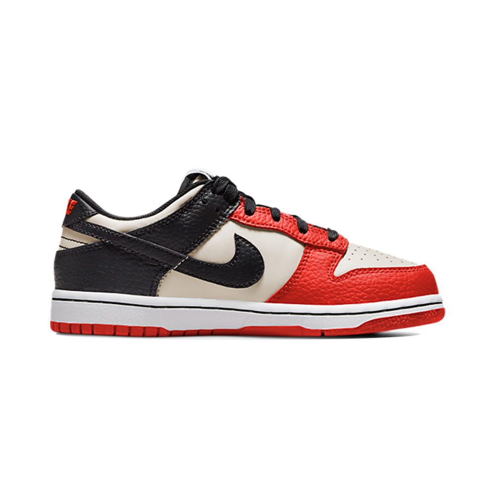NBA x Nike Dunk
