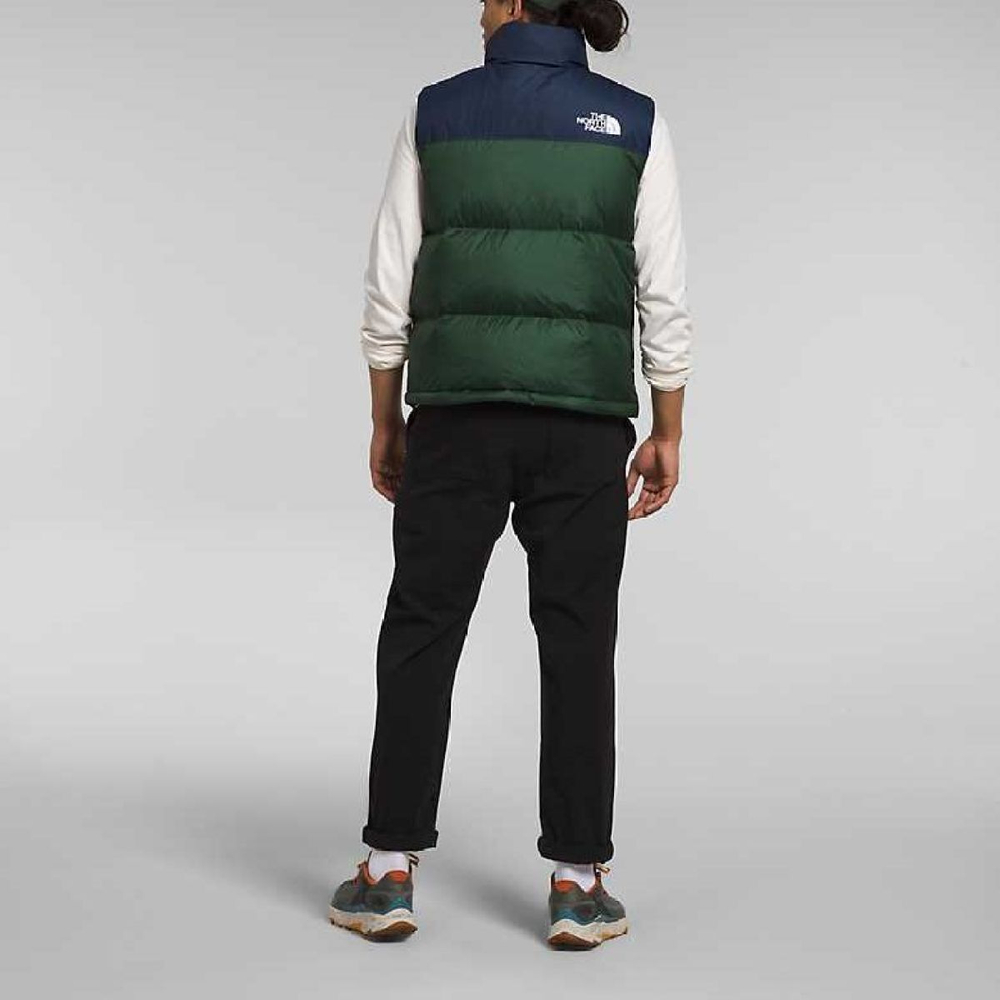 THE NORTH FACE FW22 1996 Retro Nuptse 700