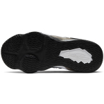 GS Nike LeBron XVII EP 17