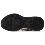 PUMA Rs-Curve