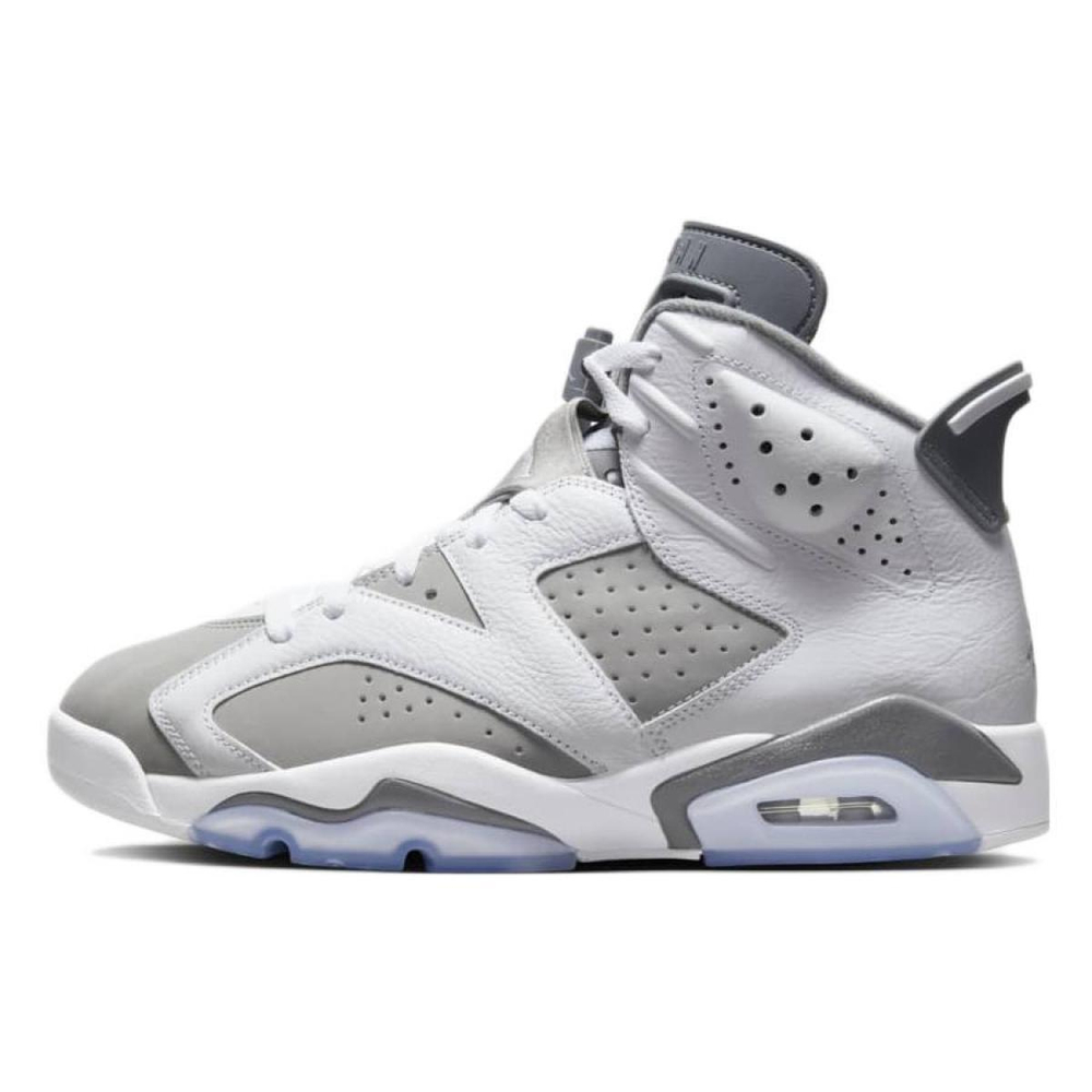 Jordan Air Jordan 6 "Cool Grey"